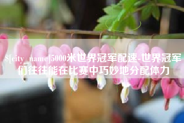 琼海5000米世界冠军配速-世界冠军们往往能在比赛中巧妙地分配体力