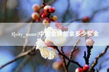 琼海中国金牌能拿多少奖金