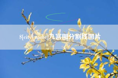 琼海九宫图分割线图片