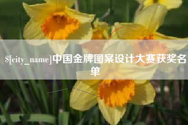 琼海中国金牌图案设计大赛获奖名单