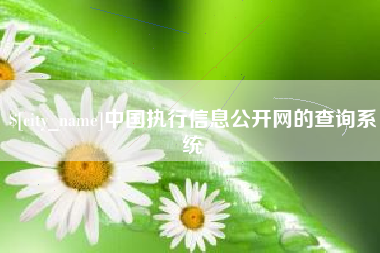 琼海中国执行信息公开网的查询系统