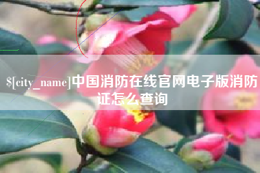 琼海中国消防在线官网电子版消防证怎么查询