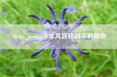 琼海今年九宫格的不利颜色