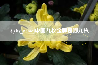 琼海中国九枚金牌是哪九枚