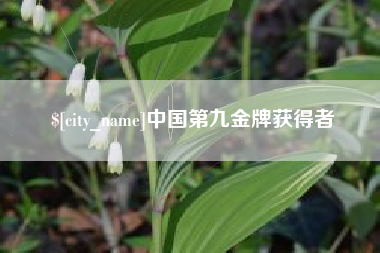 琼海中国第九金牌获得者