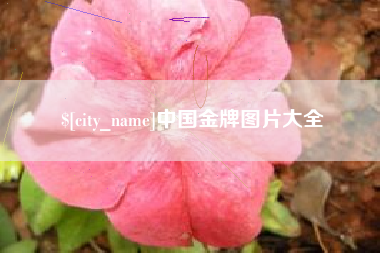 琼海中国金牌图片大全