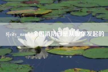 琼海全国消防日是从哪年发起的