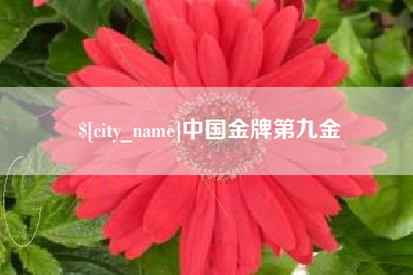 琼海中国金牌第九金