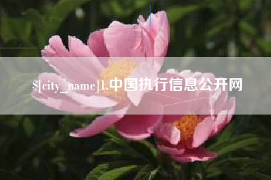 琼海1.中国执行信息公开网
