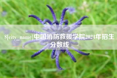 琼海中国消防救援学院2024年招生分数线