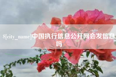 琼海中国执行信息公开网会发信息吗