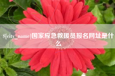 琼海国家应急救援员报名网址是什么