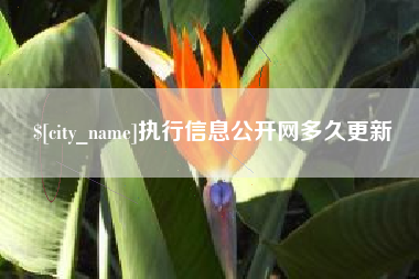 琼海执行信息公开网多久更新