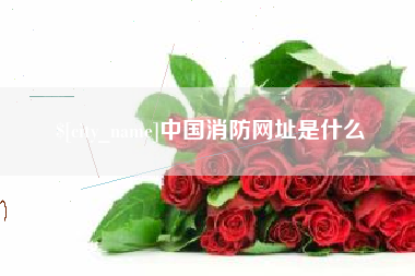 琼海中国消防网址是什么