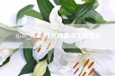 琼海九宫格盘点工具图片