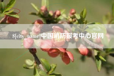 琼海中国消防报考中心官网