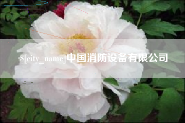 琼海中国消防设备有限公司