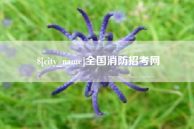 琼海全国消防招考网