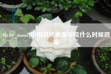 琼海中国消防救援学院什么时候政审