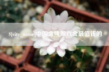 琼海中国金牌哪六金最值钱的