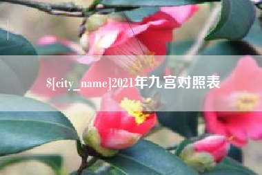 琼海2021年九宫对照表