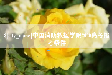 琼海中国消防救援学院2020高考报考条件