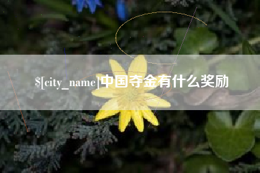 琼海中国夺金有什么奖励