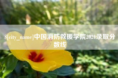 琼海中国消防救援学院2021录取分数线