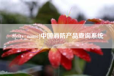 琼海中国消防产品查询系统