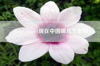 琼海现在中国哪几个金牌