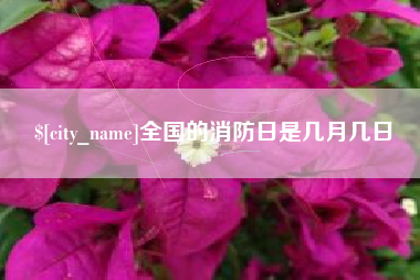 琼海全国的消防日是几月几日