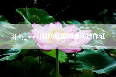 琼海消防证国网查询操作证