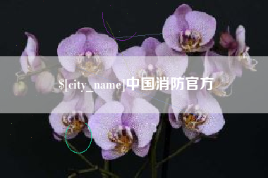 琼海中国消防官方