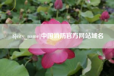 琼海中国消防官方网站域名