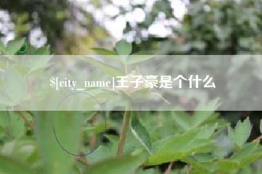 琼海王子豪是个什么