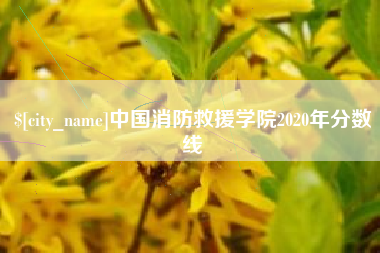 琼海中国消防救援学院2020年分数线