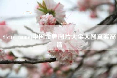 琼海中国金牌图片大全大图真实高清
