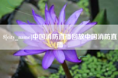 琼海中国消防直播回放中国消防直播