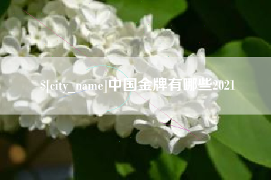 琼海中国金牌有哪些2021