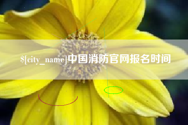 琼海中国消防官网报名时间