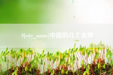 琼海中国的几个金牌