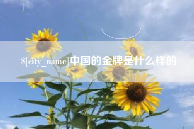 琼海中国的金牌是什么样的
