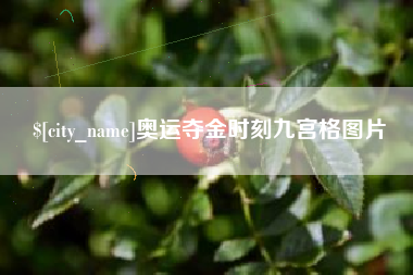 琼海奥运夺金时刻九宫格图片