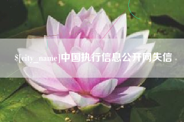 琼海中国执行信息公开网失信