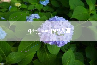 琼海2022九宫