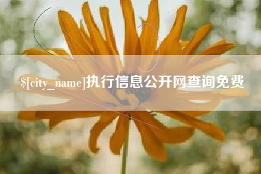 琼海执行信息公开网查询免费