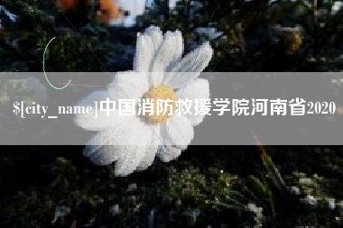 琼海中国消防救援学院河南省2020